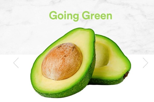 Fresh Avocado - Color: Y