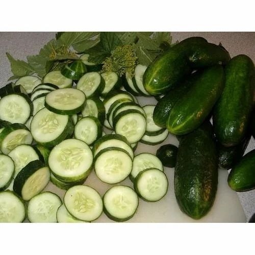 Fresh Cucumber - A Grade, Pesticide Free, 100% Purity | Chopped, Common Shape, Shelf Life of 3 Days, Cooked Style