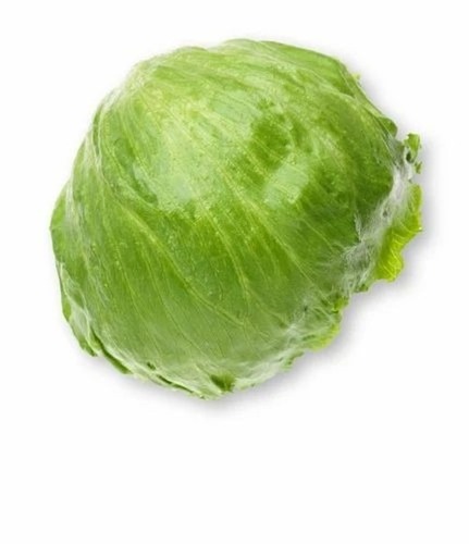 Fresh Iceberg Lettuce