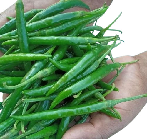 Green Chilli