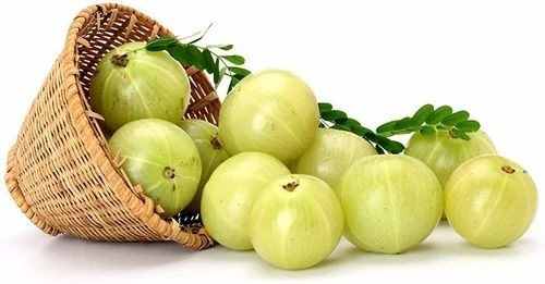 Green Vegetable Amla - A Grade, Pesticide Free, 100% Pure | 3 Days Shelf Life, Common Shape, Cooked Style, Packed in Plastic Bag