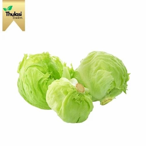 Iceberg Lettuce