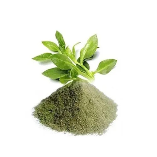 Kalmegh Extract Herbal Powder