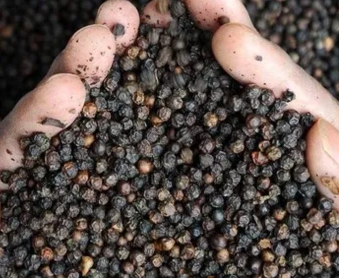 Whole Black Pepper