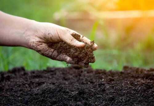 Calcium Nitrate Organic Fertilizer - Bio-Tech Grade 100% Pure Powder | Eco-Friendly Ready to Use for Plant Growth Controlled Release Soluble