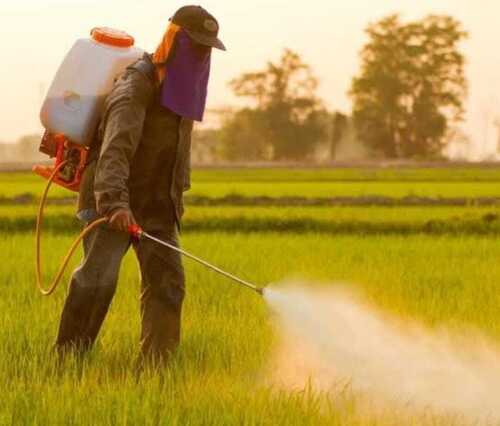 Chemical Pesticides - Application: Agriculture