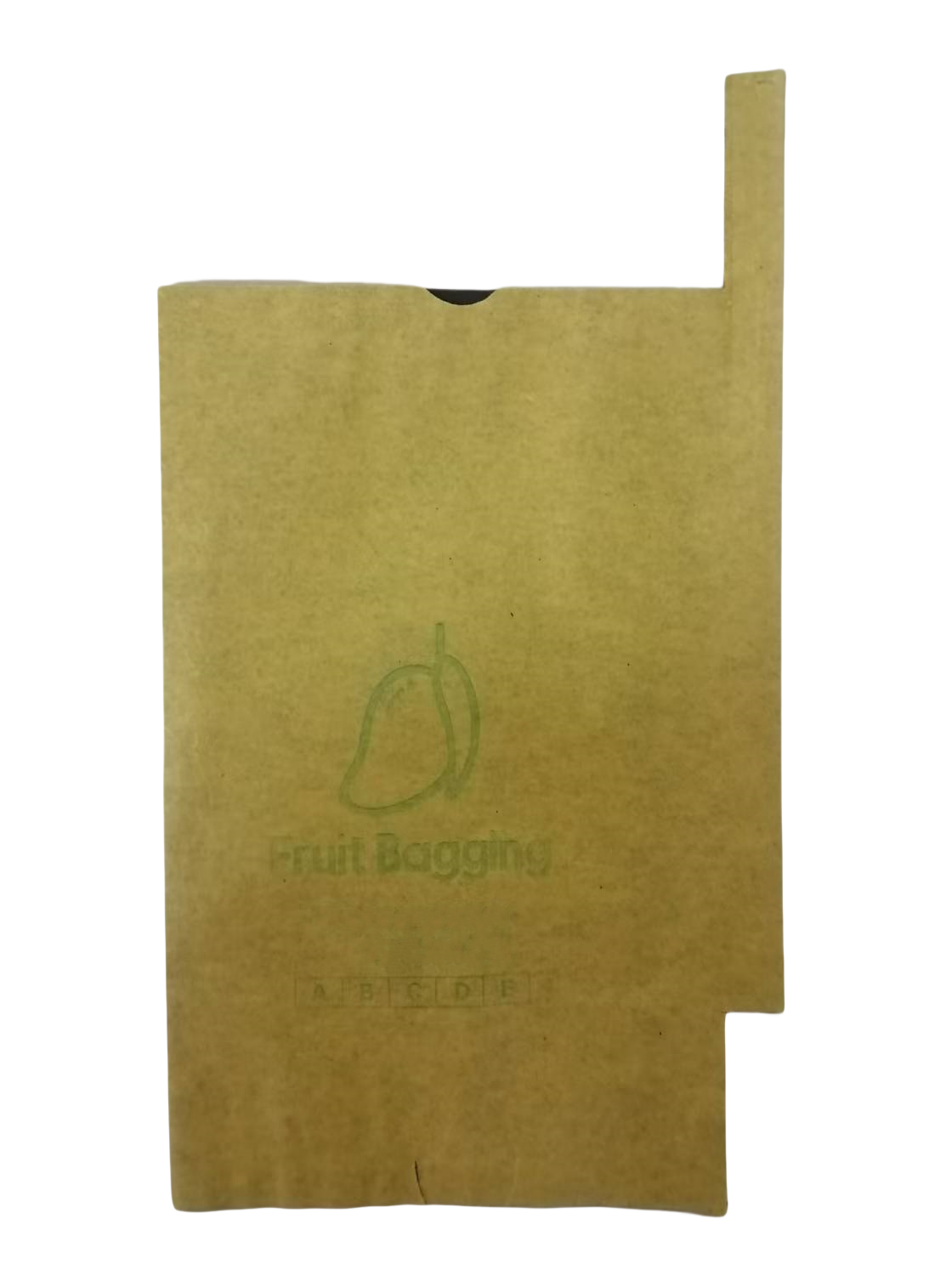 Mango Protection Paper Bag