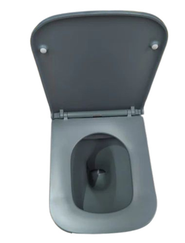 Rimless Western Toilet 