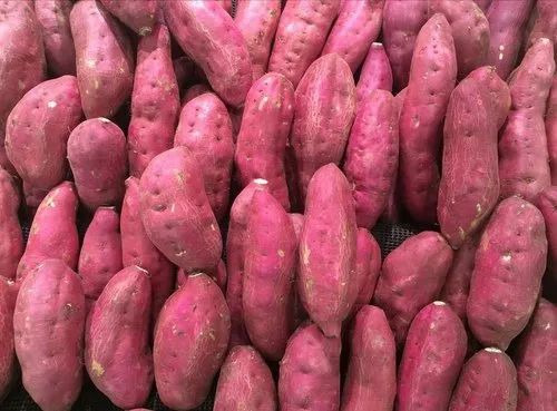 Sweet Potato - A Grade, Red Color, Packed in Gunny Bag | Steamed Processing, Common Shape, Cooked Style, Fresh Storage Tips