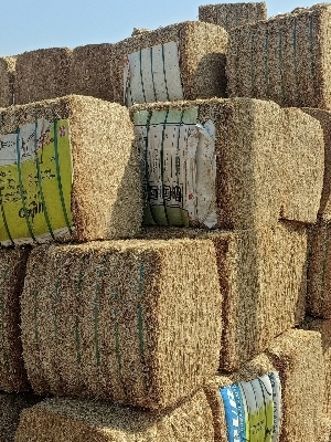 Biodegradable Wheat Straw - Made from Wheat Plant Stalks, White Golden Color | Eco-Friendly, Strong, Lightweight, Ideal for Sustainable Packaging