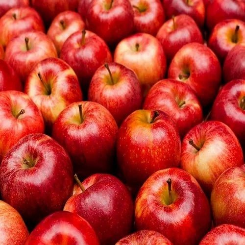 Fresh Apple - A Grade Kashmiri Quality, Cold Storage, Organic, Sweet, Red Whole Variety