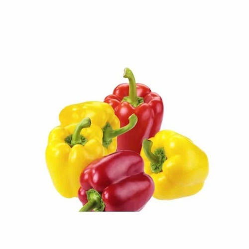 Fresh Capsicum - Organic, Pesticide Free, No Artificial Flavour | Fresh Quality, Chopped Style, Common Shape