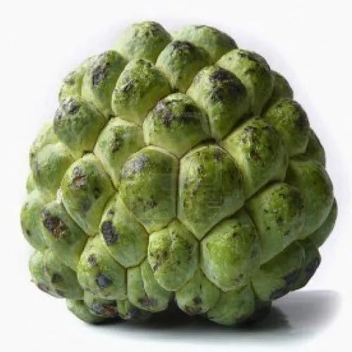 Fresh Custard Apple - A Grade Quality 94 Calories per 100g Green Round Whole Fruit with 60% Vitamin C and Rich in Potassium