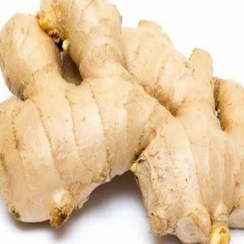Fresh Ginger - A Grade Chopped Common Shape Cooked Style | 3-Month Shelf Life Store in Cool and Dry Place