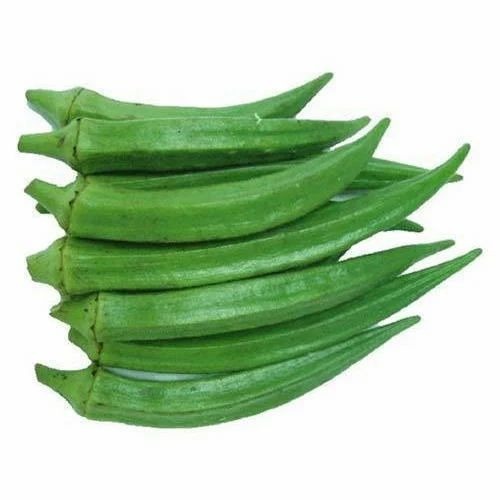 Fresh Lady Finger - Organic, 10kg Carton, 90% Maturity | Chopped, Common Shape, Cooked Style