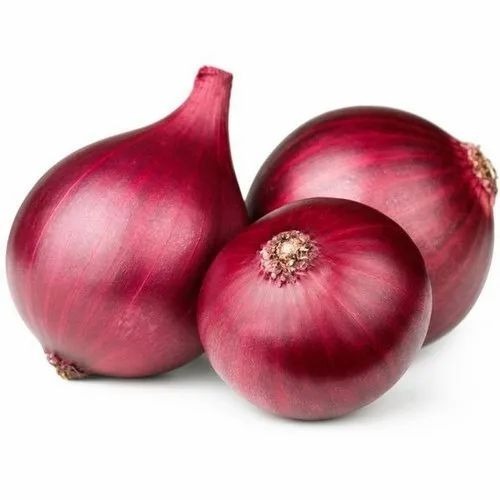 fresh onion