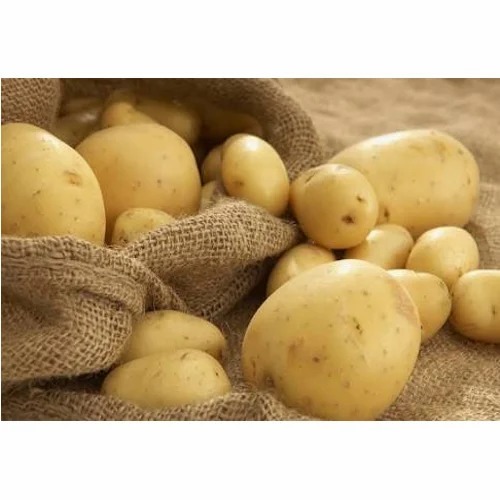 Fresh Potatoes - Organic, Plastic Bag Packaging | Chopped Form, Cooked Style, No Artificial Flavors, Pesticide Free
