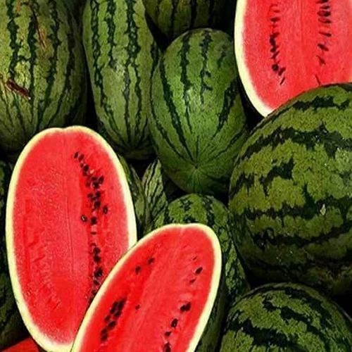 Fresh Watermelon