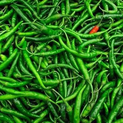Green Chilli - Leno Bag, 19% Vitamin A, 239% Vitamin C, 9 g Carbohydrate per 100g, Green Color, Chopped Form, Common Shape, Cooked Style