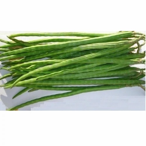 Green Drumstick - Organic Fresh Vegetable, No Artificial Flavour, No Preservatives | Chopped, Common Shape, Cooked Style in Plastic Bag or Carton