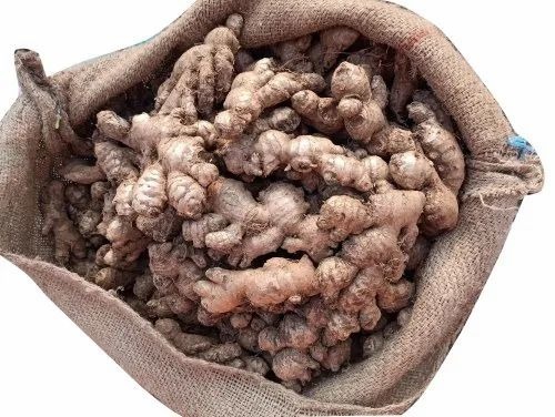 Organic Raw Ginger - A Grade, Organic, 3 Month Shelf Life, Chopped Form, Common Shape, Cooked Style | Store In Cool and Dry Place