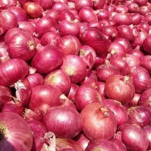 Red Onion