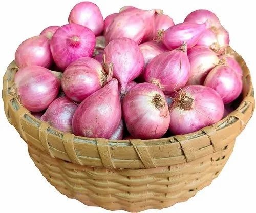Shallots Onion