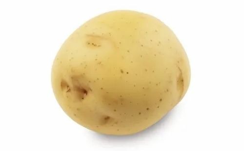 Taurus Potato Seed