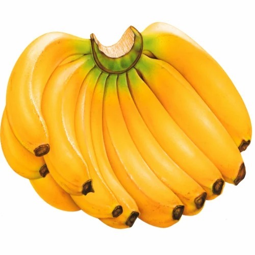 Yellow Banana - 7kg, 13.50kg Pack Sizes | Organic, Lactose Free, Fresh Quality, Sweet Taste