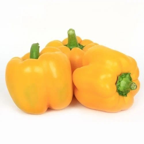 Yellow Capsicum