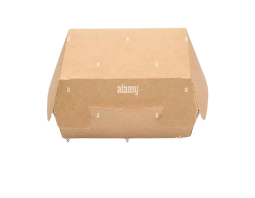 Burger Packaging Box