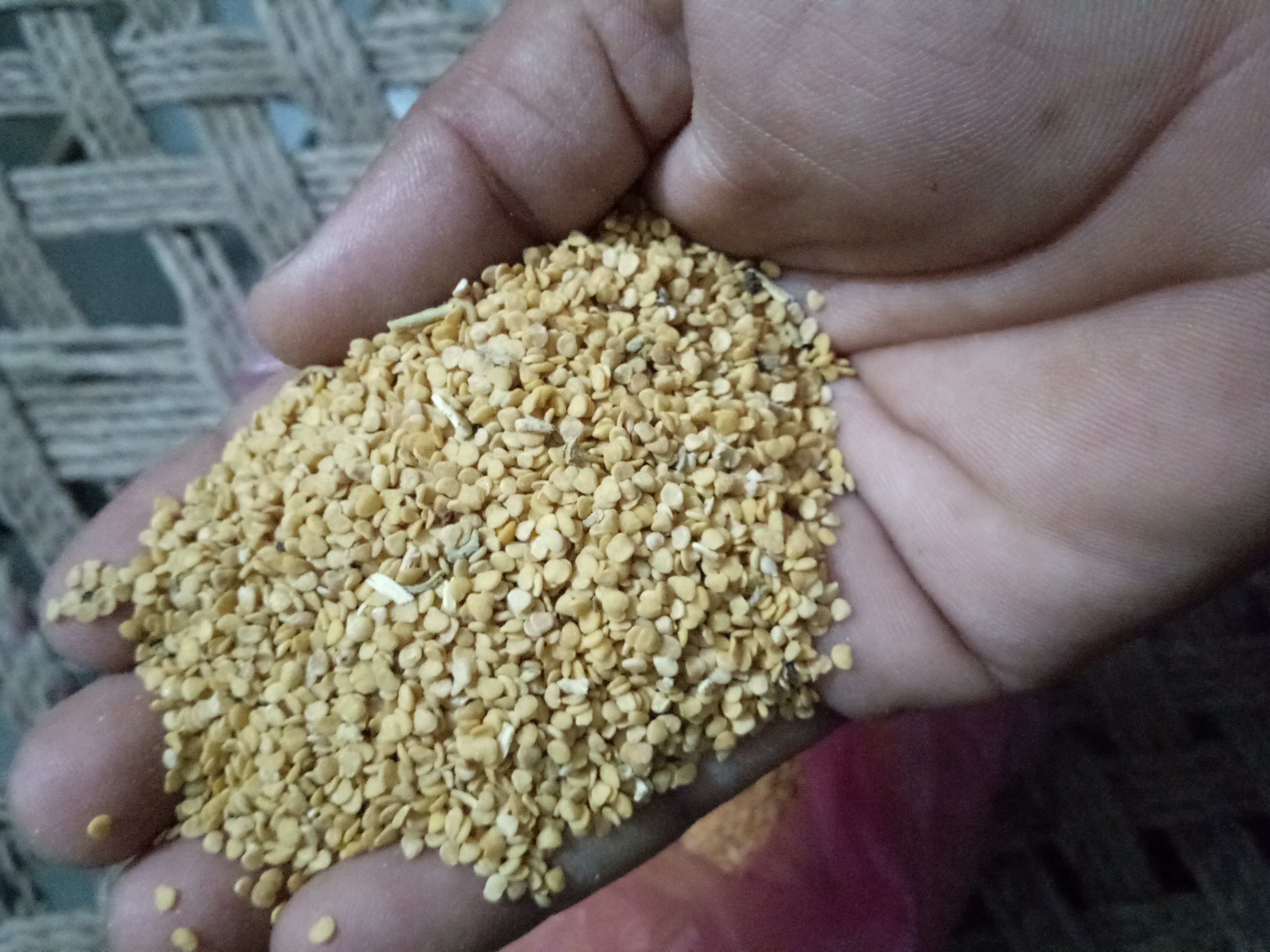 Envigold Ashwagandha Seed