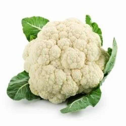 Fresh Cauliflower - Fresh, Very Good Quality | Chopped Style, Common Shape, Perfect for Cooking