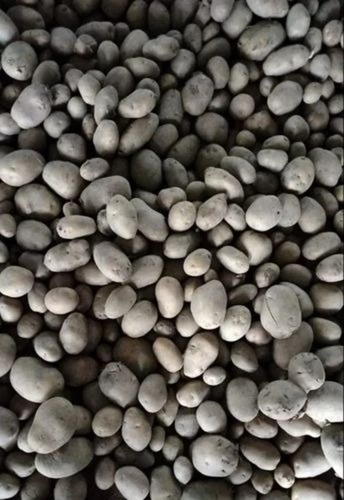 Fresh Potato - Organic A Grade, Chopped Style, Common Shape, FSSAI Certified | Fresh Solanum Tuberosum with Quality Assurance