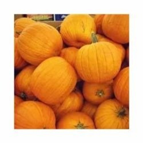 Fresh Pumpkin - Very Good Quality, Fresh Condition | Chopped Form, Common Shape, Cooked Style for Culinary Applications