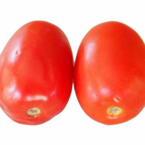 Fresh Tomato