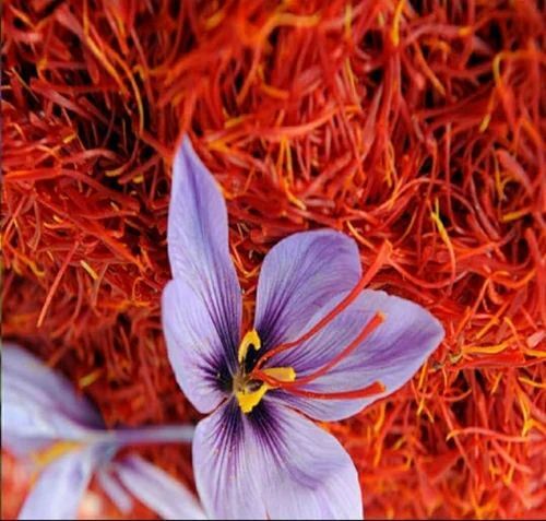 Indian Saffron - 100% Pure, Dried, Fresh Red | Naturally Healthy to Eat, 1 Year Shelf Life