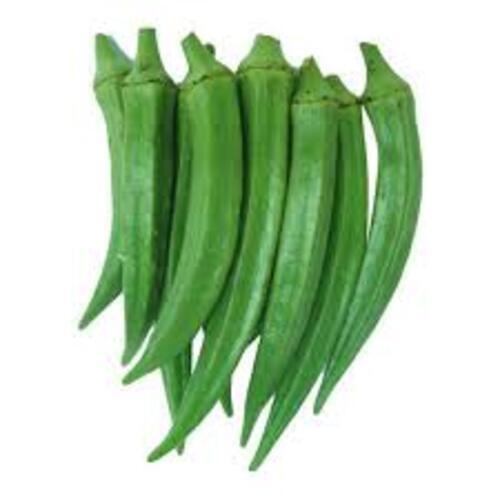 Lady Finger - Fresh Vegetable, Very Good Condition, Chopped Processing Form, Common Shape, Cooked Style