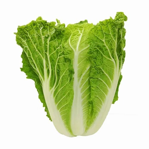 Chinese Cabbage