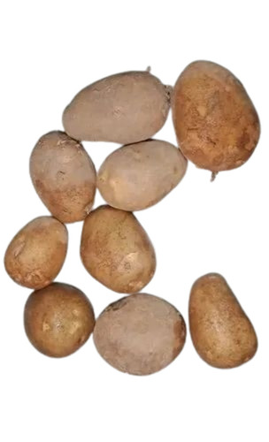 Chipsona Potato - A Grade, 50kg Cold Storage, Brown | Chopped Form, Common Shape, Cooked Style
