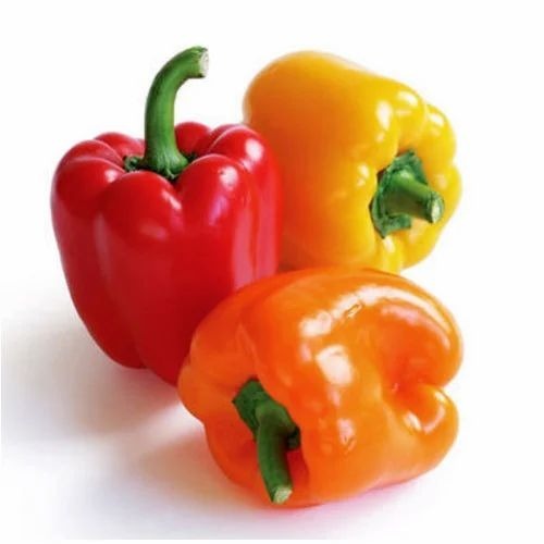 Fresh Bell Pepper - Pesticide Free, A Grade Quality, Available in 5 Kg, 10 Kg, 20 Kg, 50 Kg Sizes | Chopped, Common Shape, Cooked Style
