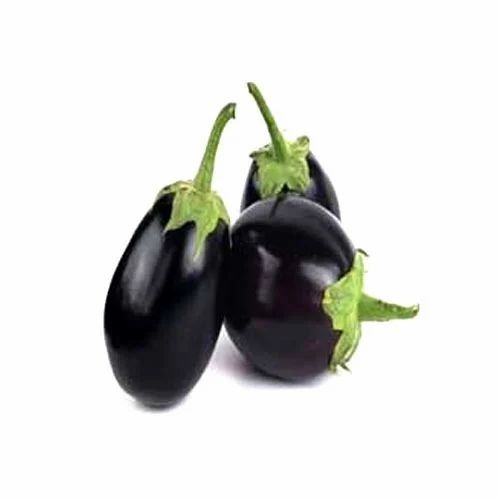 Fresh Brinjal