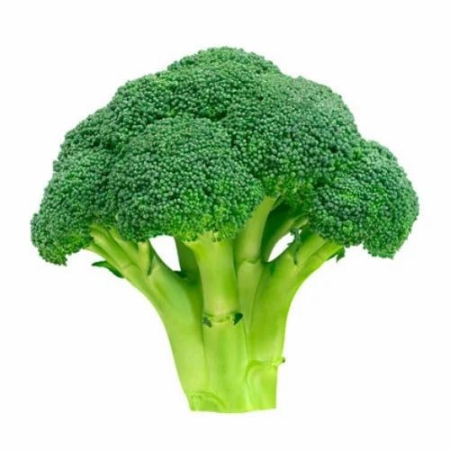 Fresh Broccoli - Cooked, Chopped, Common Shape | Available in Net Bag, Crate, Gunny Bag - Sizes: 50 Kg, 20 Kg, 10 Kg, 5 Kg - Potassium: 316 mg/100g, Protein: 2.8 g/100g