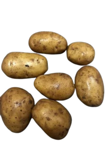 Fresh Diamond Potato - A Grade, 99% Purity, Fresh Brown Chopped Common Cooked Style | Cold Storage Quality Cooking Ingredient