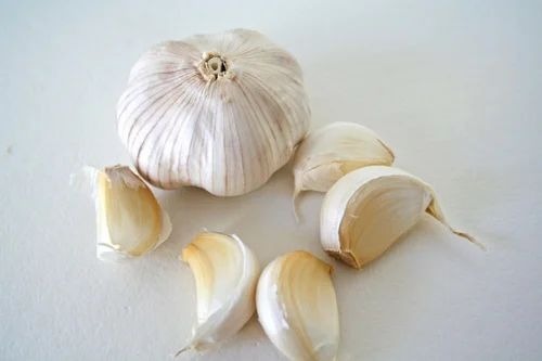 Fresh Garlic