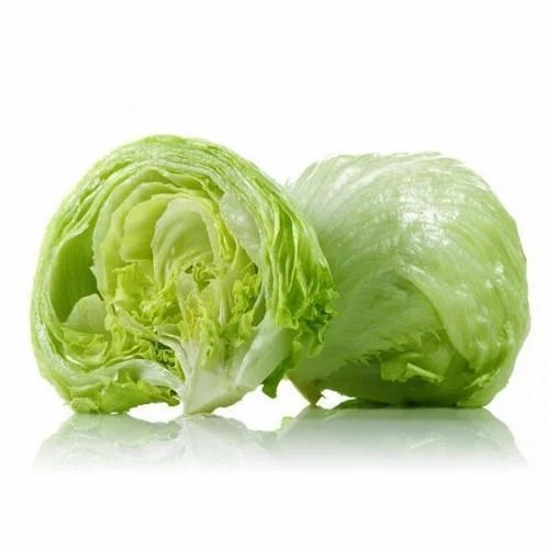 Fresh Lettuce Iceberg - 10% Vitamin A, Protein 0.9g/100g | Chopped, Common Shape, Cooked Style, Pesticide Free Carton Packaging