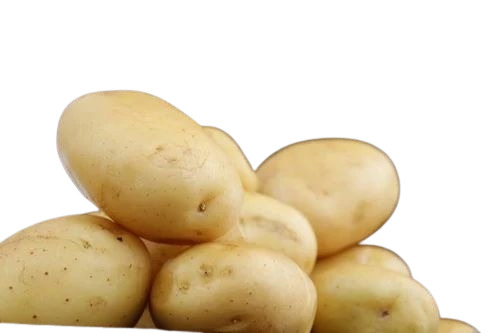 Fresh Potato - A Grade Fresh Condition, Chopped Processing Form, Common Shape, Cooked Style 