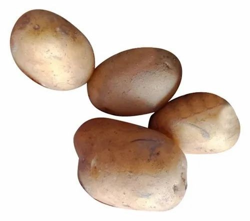 Fresh Potato - Chopped, 50kg | A Grade Quality, Common Shape, Cooked Style, Cold Storage Application