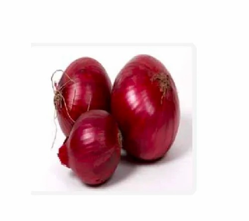 Fresh Red Onion