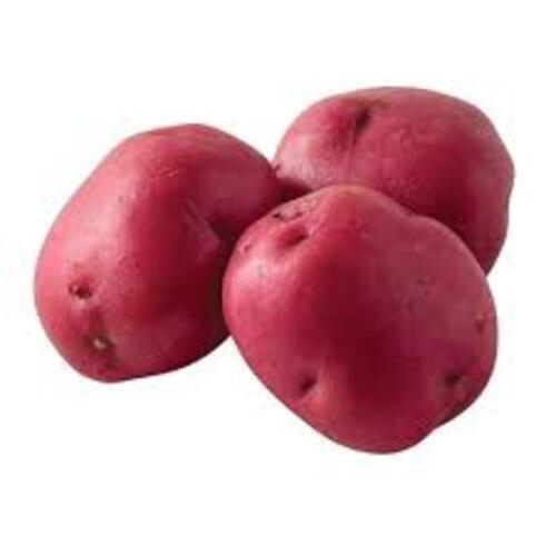 Fresh Red Potato - A Grade , 50 Kg Packaging Size, Chopped Processing Form, Common Shape, Cooked Style